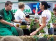 Rok 2008: Dni Zielonej Gry Winobranie 2008