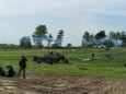 Rok 2009: Zlot Mionikw Fortyfikacji Militarnych –  Boryszyn 2009