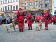Rok 2010: Midzynarodowe Manewry Ratownicze ary 2010.