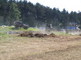 Rok 2010: Zlot Mionikw Fortyfikacji Militarnej Boryszyn 2010