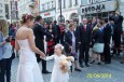 Rok 2014: lub Darii i Michaa