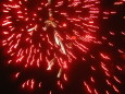 Rok 2005: WOP 2005