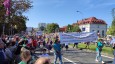 przejd do galerii