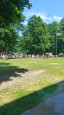Rok 2026: Piknik Czo�gisty w Lubuskim Muzeum Wojskowym w Drzonowie 